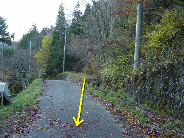 ����X�ѓS��,�ѓS,�p����,�ؑ],�i���[�O����,����,�H��,����