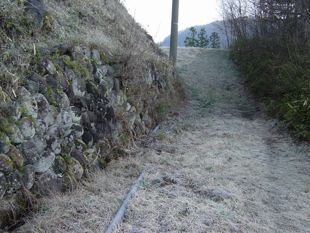 �ؑ]�X�ѓS�������,�ѓS,�p����,���O�x��,�Ί_,����,�H��