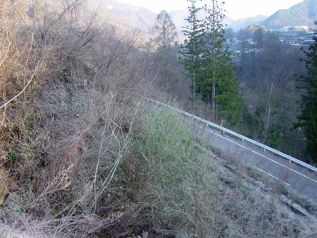 �ؑ]�X�ѓS�������,�ѓS,�p����,���O�x��,�������H,��������,�y�؋O��