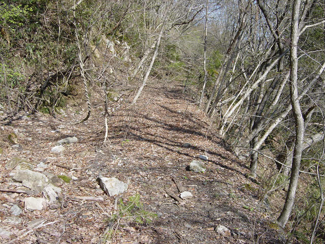 ����X�ѓS��,�ѓS,�p����,�ؑ],����,�H��,�y�؋O����