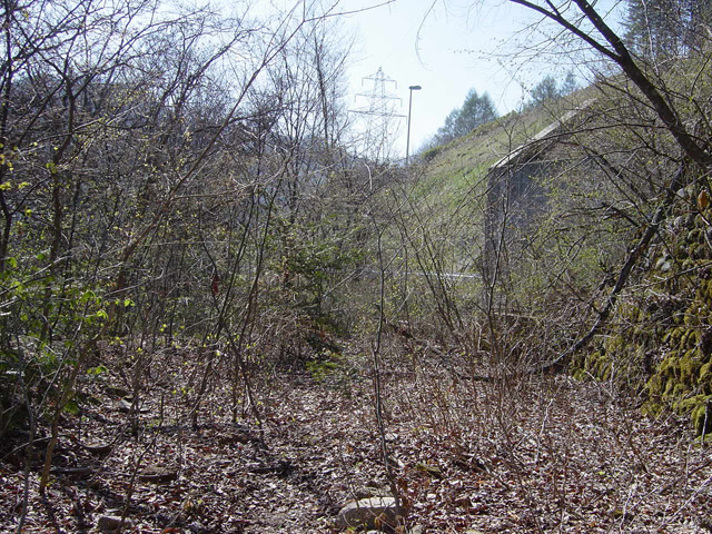 ����X�ѓS��,�ѓS,�p����,�ؑ],����,�H��,�V��,����