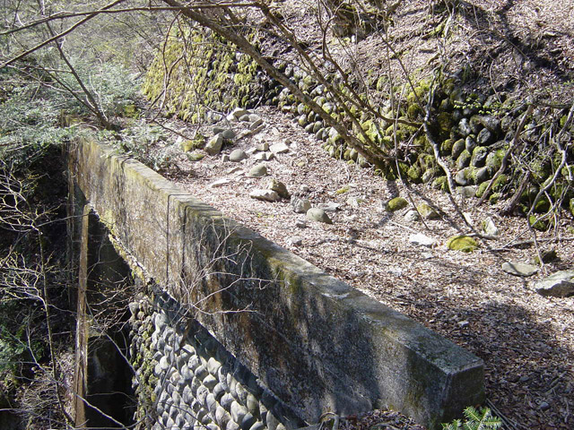 �ؑ]�X�ѓS�������,�ѓS,�p����,��������,����Ίݕ��n�V��,�؋����䋴,�؍މ^���O����