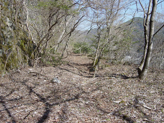 ����X�ѓS��,�ѓS,�p����,�ѓ�,�㏼�^�A�c�я�,�g���b�R�O��,�y�؋O��,�H��