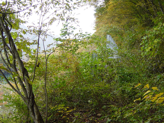 �ؑ]�X�ѓS�������,�ѓS,�p����,�哇��ԏ�,����,����_,�㏼�^�A�c�я�