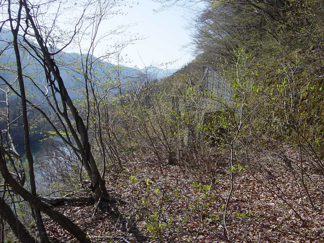 �ؑ]�X�ѓS�������,�ѓS,�p����,�哇��ԏ�,����,����_,�㏼�^�A�c�я�