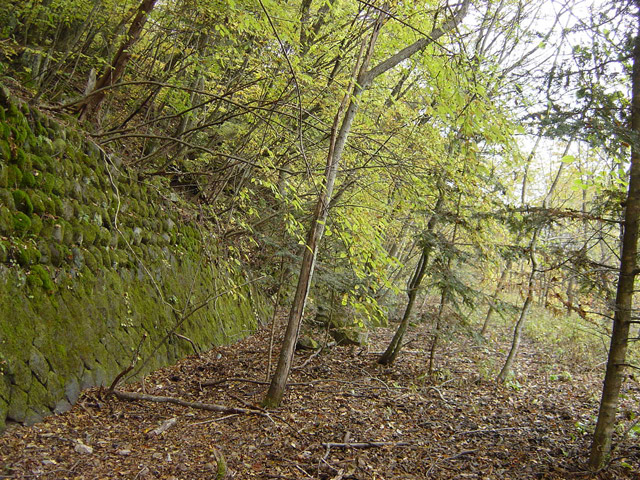 ����X�ѓS��,�ѓS,�p����,�哇��ԏ�,�����O��,�؍މ^���O����,����,�鎺�і�ǖؑ\�x��