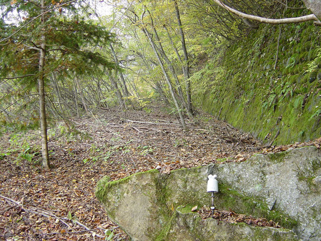 ����X�ѓS��,�ѓS,�p����,�哇��ԏ�,�㏼�^�A�c�я�,�؍މ^���O����,�V�q,�ѓ�