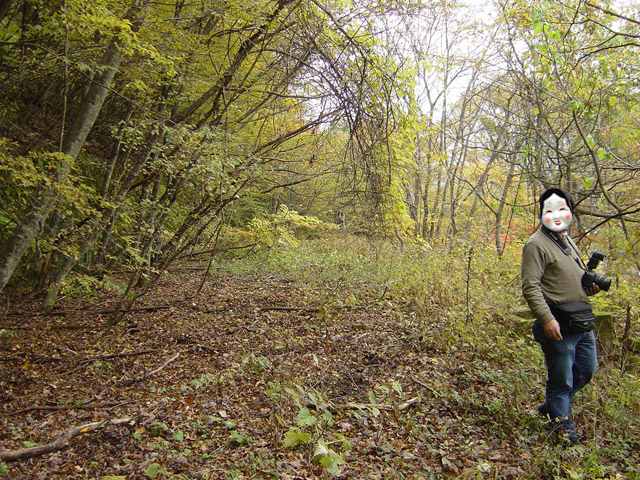 ����X�ѓS��,�ѓS,�p����,�哇��ԏ�,�㏼�^�A�c�я�,�؍މ^���O����,�ؑ],�ѓ�