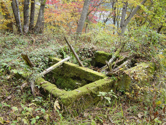 ����X�ѓS��,�ѓS,�p����,�哇��ԏ�,�w�ɐ�,�؍މ^���O����,�ؑ],�֏�