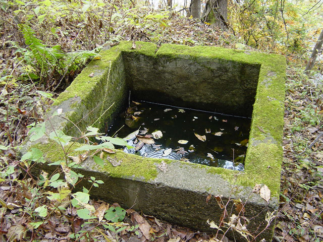 ����X�ѓS��,�ѓS,�p����,�哇��ԏ�,�w�ɐ�,�؍މ^���O����,�ؑ],�֏�