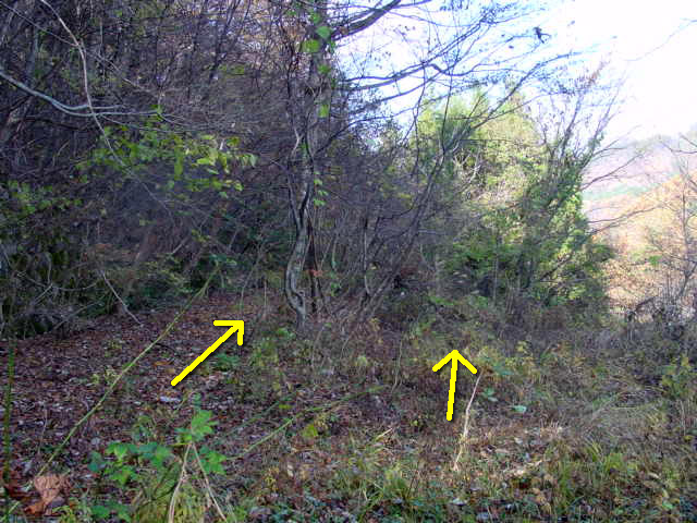 ����X�ѓS��,�ѓS,�p����,�哇��ԏ�,�ؑ]�X,�J�c�X�ѓS��,����