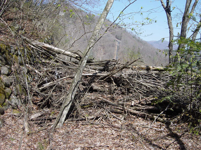 ����X�ѓS��,�ѓS,�p����,�哇��ԏ�,�ؑ]��,�؍މ^���O����,�ы�