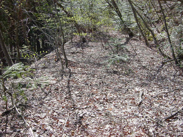 ����X�ѓS��,�ѓS,�p����,�哇��ԏ�,�����X�ыO��,�i���[�O����,�ؑ]��