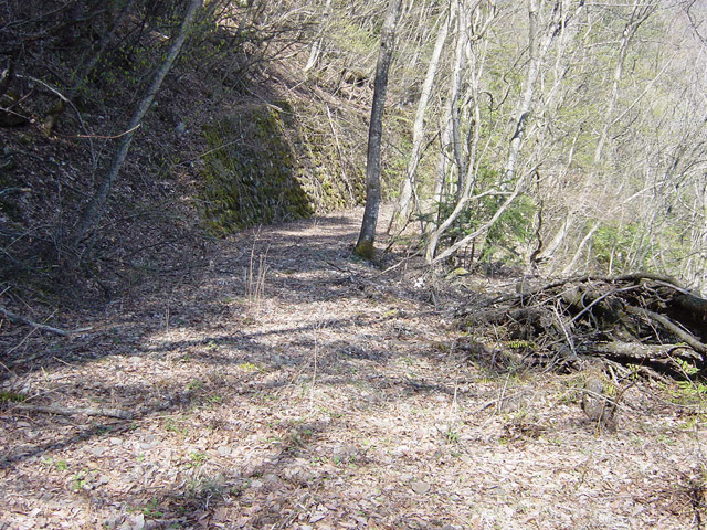 ����X�ѓS��,�ѓS,�p����,�ѓ�,�y�؋O��,����,��_�ϑ�