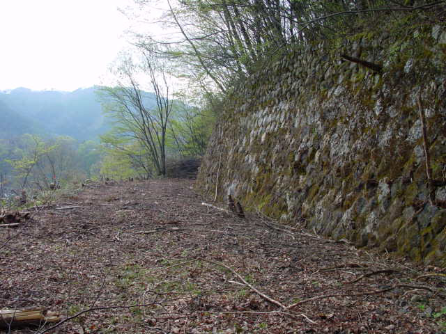 ����X�ѓS��,�ѓS,�p����,�O�x��,����,�t�֐�,�c�я��O��