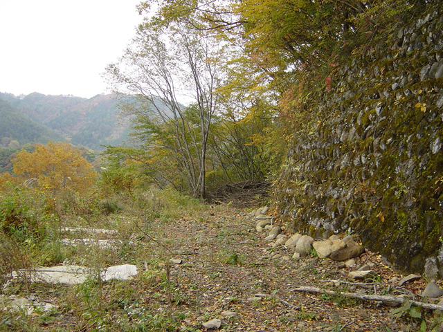 ����X�ѓS��,�ѓS,�p����,�H��,�ѓ�,�Ί_,��r�ʐ^