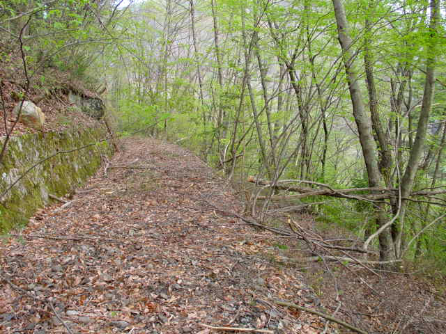 �ؑ]�X�ѓS�������,�ѓS,�p����,�ѓ�,�V��,����,�㏼�^�A�c�я�