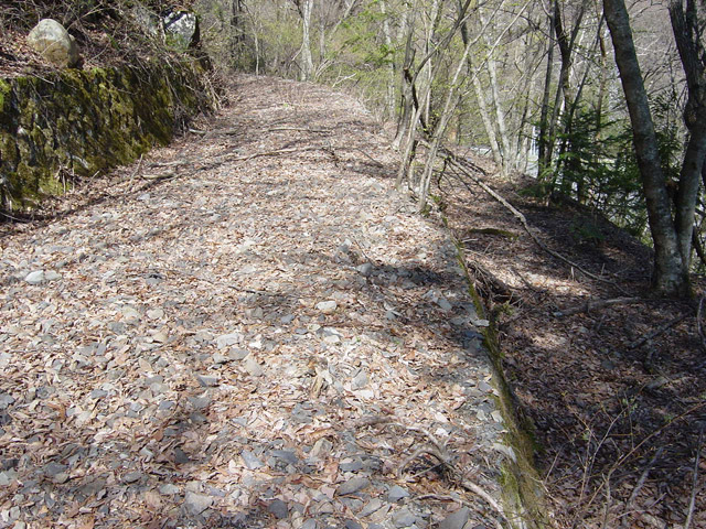 ����X�ѓS��,�ѓS,�p����,�i���[�O����,����,�t�֐�,�ؑ]