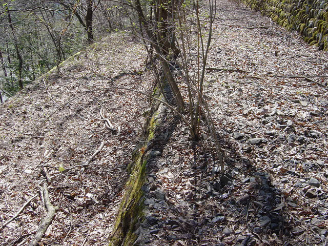 ����X�ѓS��,�ѓS,�p����,�i���[�Q�[�W,����,�t�֐�,2�t�B�[�g6�C���`