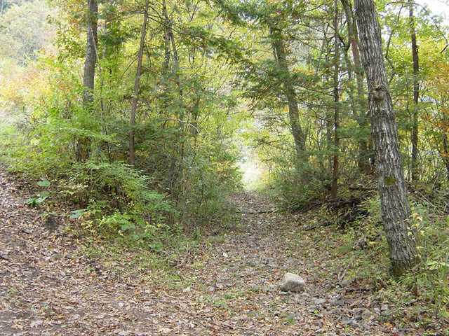 �ؑ]�X�ѓS�������,�ѓS,�p����,762mm,�V��,�g���b�R�O����,����