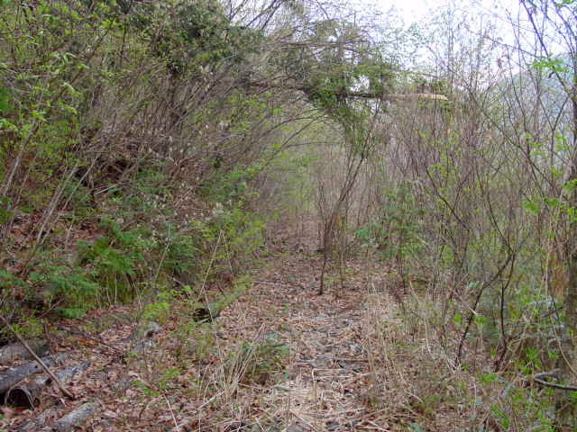 �ؑ]�X�ѓS�������,�ѓS,�p����,762mm,�V��,�؍މ^���O����,�㏼�^�A�c�я�