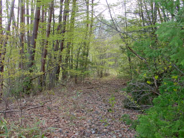 �ؑ]�X�ѓS�������,�ѓS,�p����,�i���[�O����,����,�؍މ^���O����,�H��