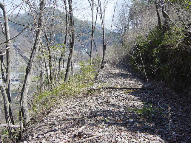 ����X�ѓS��,�ѓS,�p����,�i���[�O����,�V��,����,�H��