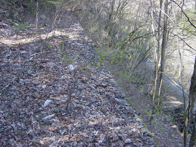 ����X�ѓS��,�ѓS,�p����,�O����,�V��,����,���쌧��256����x���ꍕ���