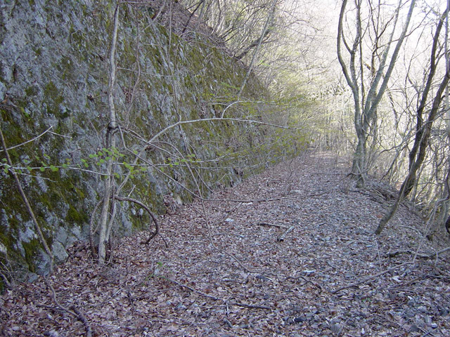 ����X�ѓS��,�ѓS,�p����,�O����,�i��,�H��,�Ί_