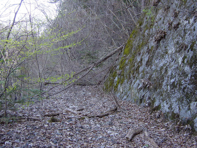 ����X�ѓS��,�ѓS,�p����,�㏼�^�A�c�я�,�ؑ]�H,�O����,�ѓ�