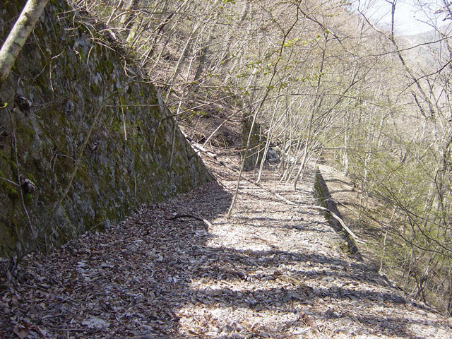 ����X�ѓS��,�ѓS,�p����,�㏼�^�A�c�я�,�Ί_,�O����,�ѓ�