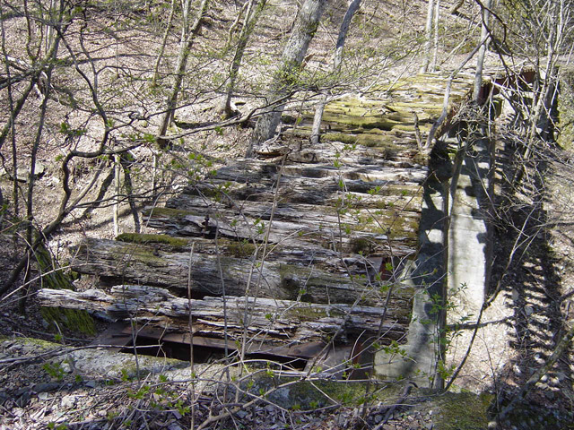 ����X�ѓS��,�ѓS,�p����,���ꑺ,�K�m�ؑ򋴗�,�S��,�S��1����