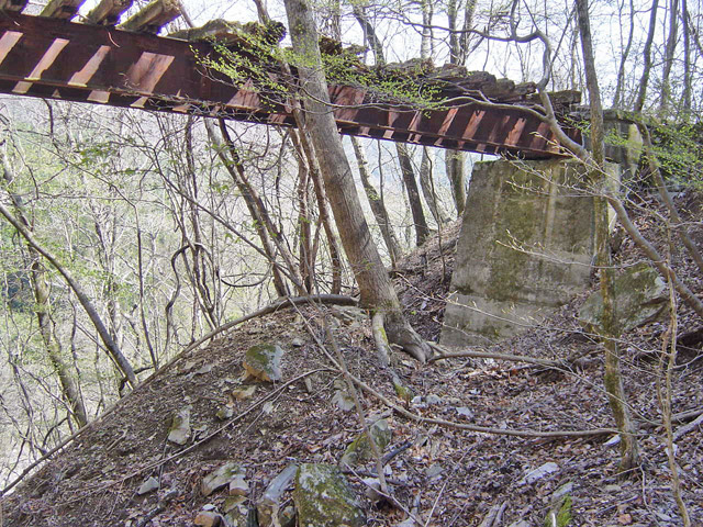 �ؑ]�X�ѓS�������,�ѓS,�p����,�K�m�ؑ򋴗�,�p�S��,�A�C�r�[��,�包