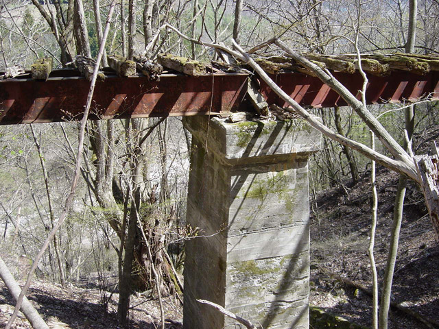 �ؑ]�X�ѓS�������,�ѓS,�p����,�K�m�ؑ򋴗�,�p�S��,�A�C�r�[��,���r