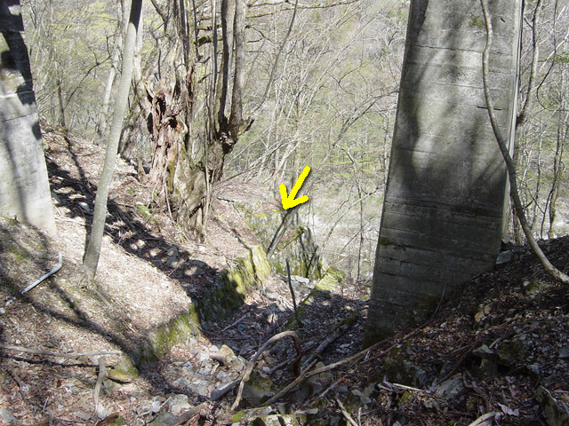 �ؑ]�X�ѓS�������,�ѓS,�p����,�K�m�ؑ򋴗�,�p�S��,����,����