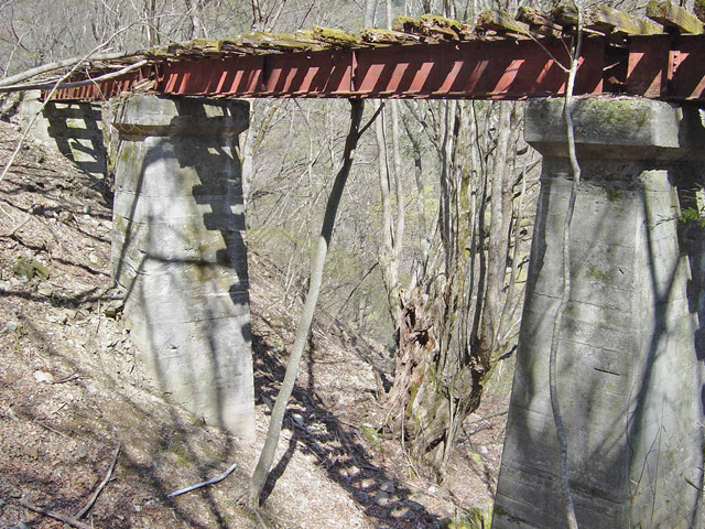 �ؑ]�X�ѓS�������,�ѓS,�p����,�K�m�ؑ򋴗�,�p�S��,���r,�X�p��