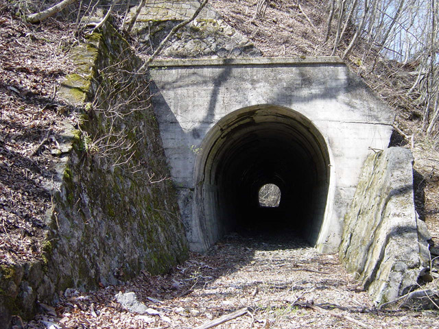 ����X�ѓS��,�ѓS,�p����,�؍މ^���O����,�K�̖�詓�,�g���l��