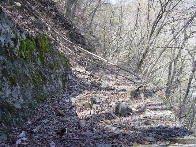 ����X�ѓS��,�ѓS,�p����,�i���[�Q�[�W,�㏼�^�A�c�я�,�Ί_