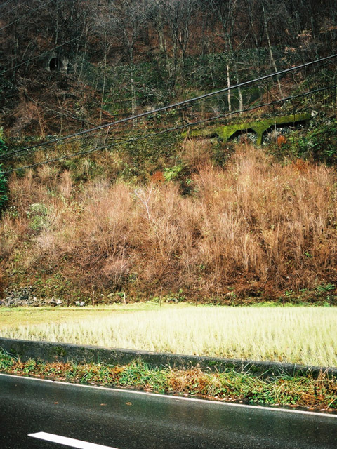 ����X�ѓS��,�ѓS,�p����,�g���b�R�O����,����,�t�֐�