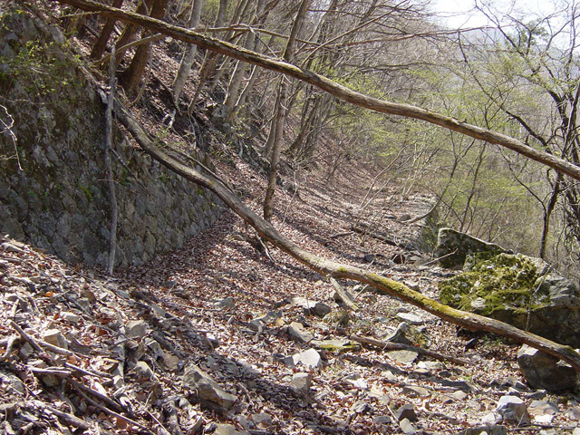 �X�ѓS��,����ѓS,�p����,�㏼�^�A�c�я�,�V��,�t�֐�