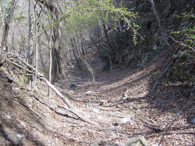 �X�ѓS��,����ѓS,�p����,�y�؋O��,�V��,�H��