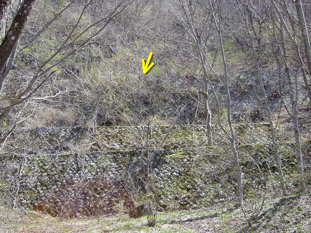 �X�ѓS��,����ѓS,�p����,�c�я��O��,�t�֐�,����