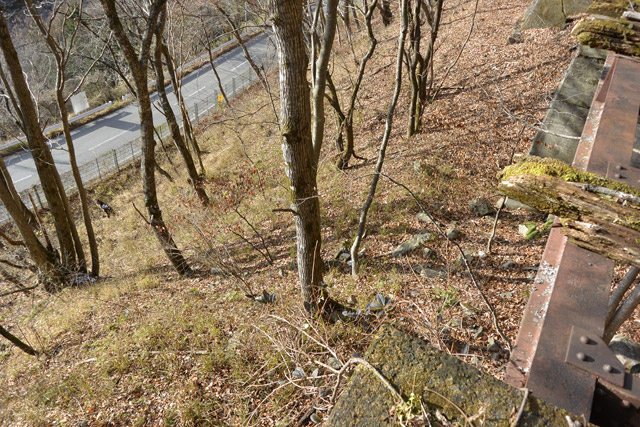 ����ѓS,�X�ѓS��,�p����,���쌧��256����x���ꍕ���,��q������,�����X�ъǗ���,�ؑ]�X�ъǗ���