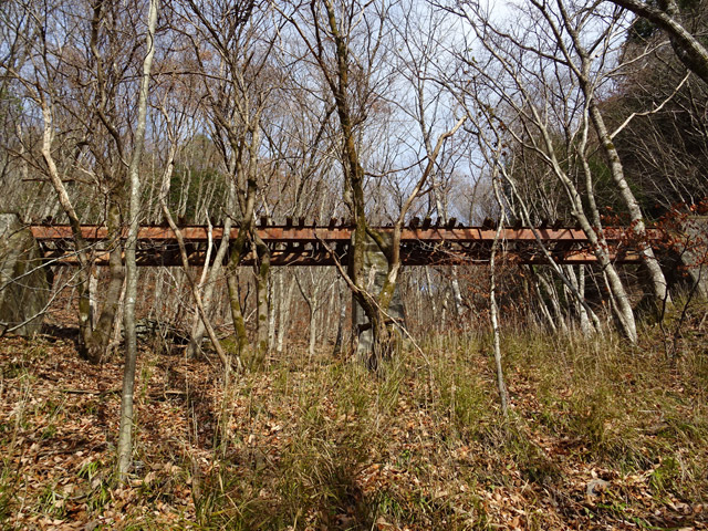 �ؑ]�X�ѓS�������,�ѓS,�p����,�t�֐�,��q������,�V��,�i���[�O����