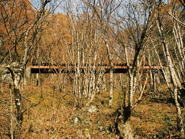 �ؑ]�X�ѓS�������,�ѓS,�p����,�㏼�^�A�c�я�,��q������,�V��,�i���[�Q�[�W