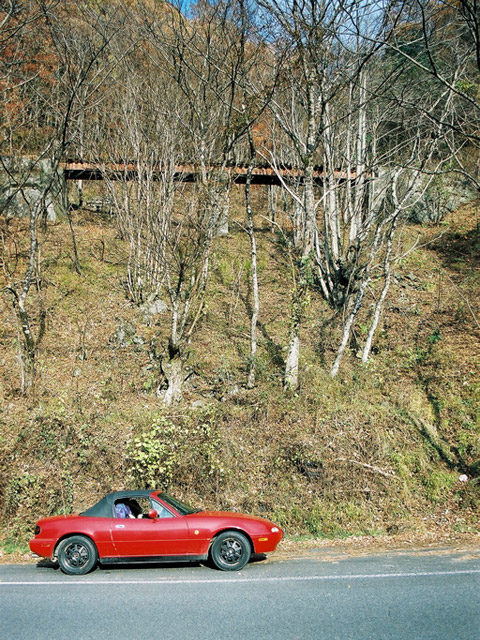 �ؑ]�X�ѓS�������,�ѓS,�p����,���ꑺ,��q������,���[�m�X���[�h�X�^�[