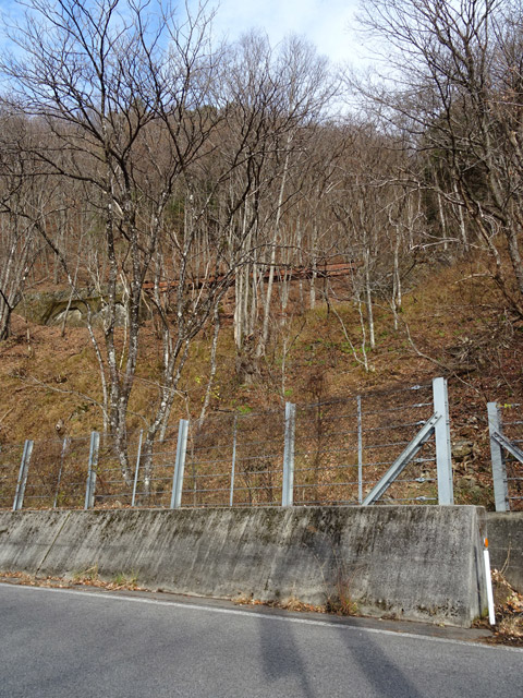 �ؑ]�X�ѓS�������,�ѓS,�p����,���쌧��256����x���ꍕ���,��q������,���Ζh�~��