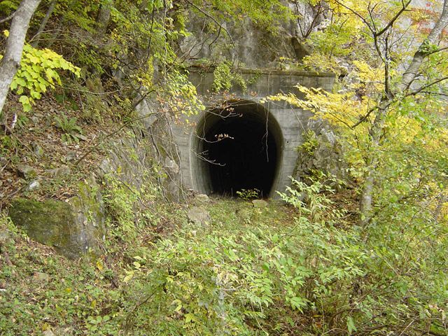 ����X�ѓS��,�ѓS,�p����,��q��詓�,�g���l��,�؍މ^���O����