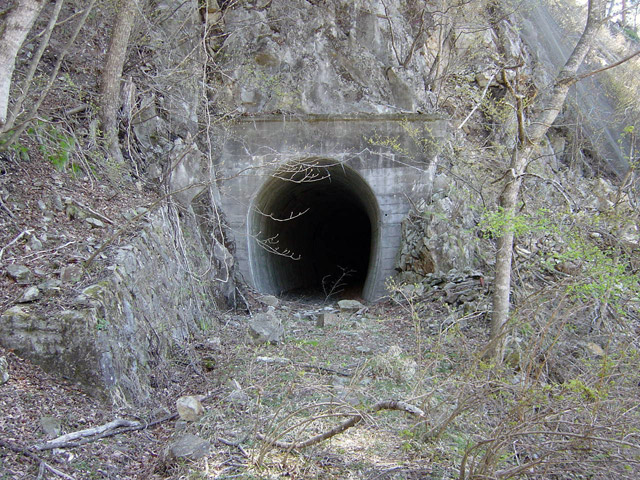 ����X�ѓS��,�ѓS,�p����,��q���g���l��,詓�,�؍މ^���O����,�t�ւ���