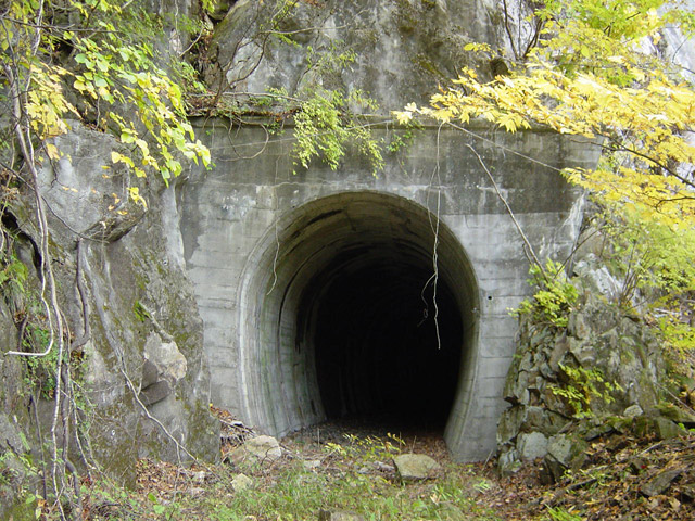 ����X�ѓS��,�ѓS,�p����,��q���g���l��,���ꑺ,��r�ʐ^,�t�ւ���